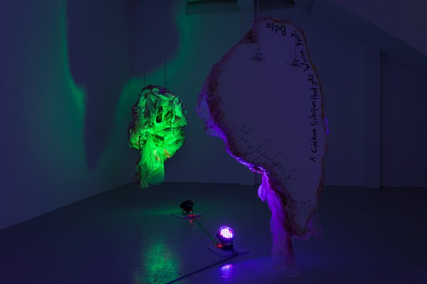 Image 20 of 38