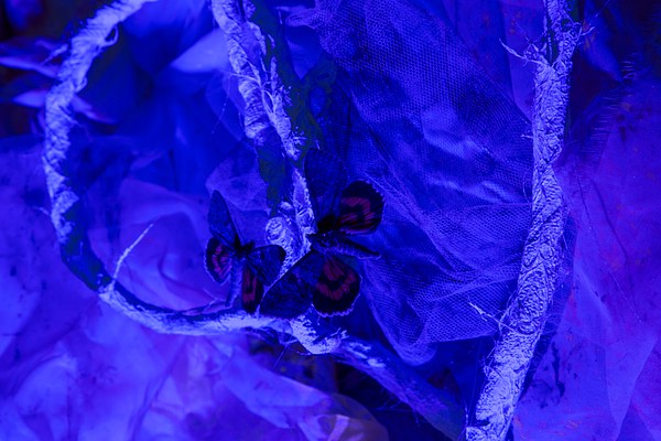 Image 29 of 38