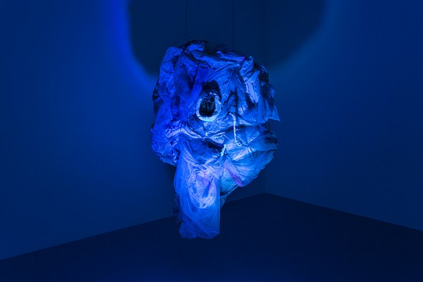 Image 10 of 38