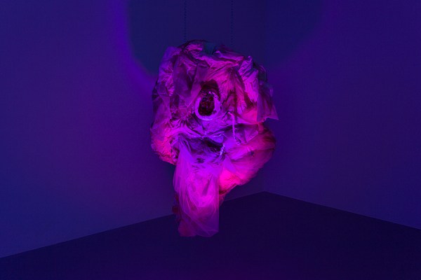 Image 11 of 38