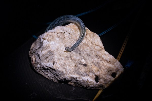 Image 14 of 34