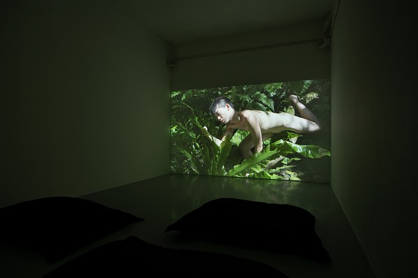 Image 7 of 7