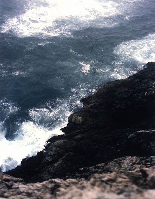 Sharon Lockhart, Untitled at Petzel, photo 5