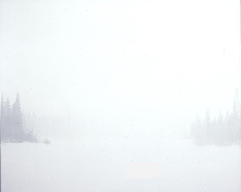 Sharon Lockhart, Untitled at Petzel, photo 8