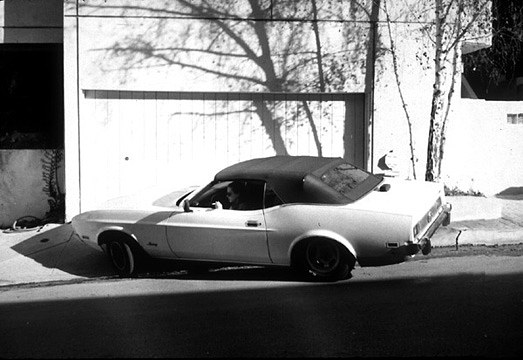 Dana Hoey, Phoenix at Petzel, photo 2