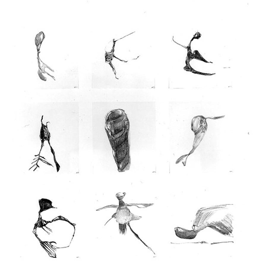 Nicola Tyson, Nicola Tyson Paintings and Works on Paper at Petzel, photo 9