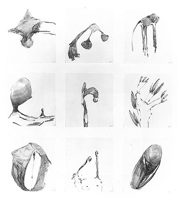 Image 15 of 16