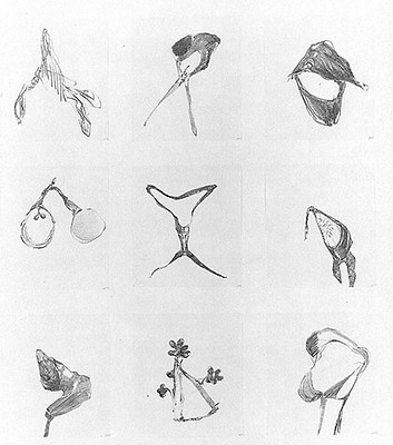 Image 14 of 16