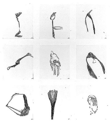 Image 16 of 16