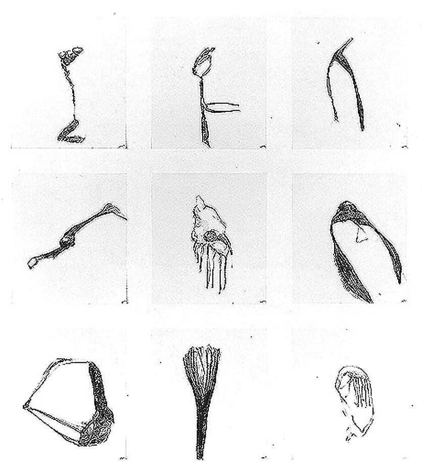 Nicola Tyson, Nicola Tyson Paintings and Works on Paper at Petzel, photo 16