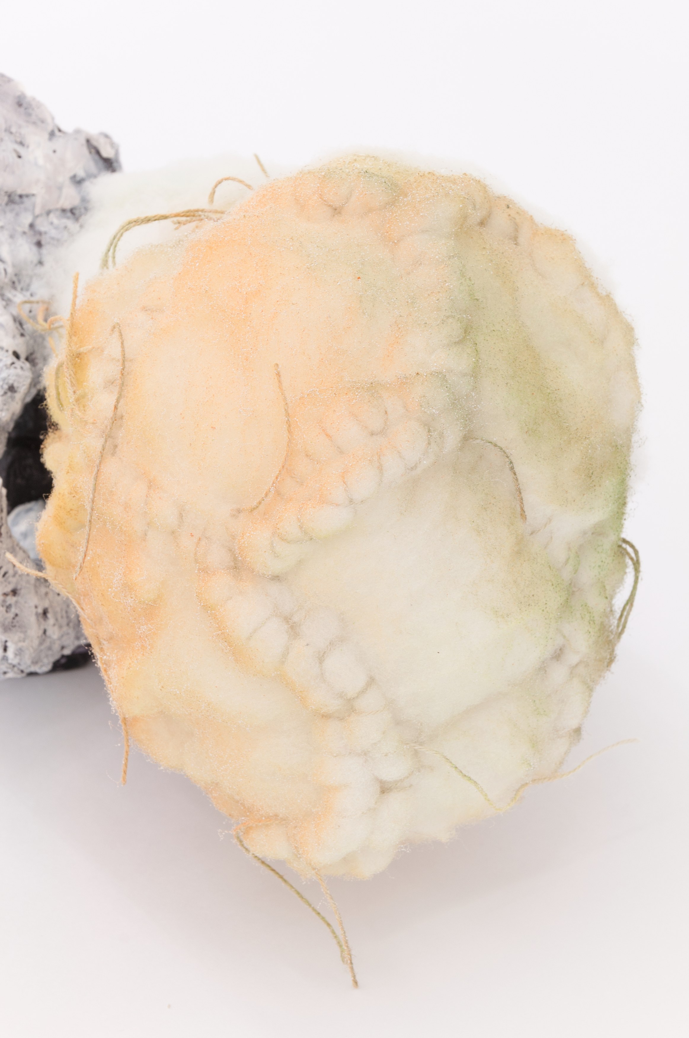Miho Dohi, Untitled at Tragic Venus, CELESTE | data center Marilyn, Champs-sur-Marne, photo 29