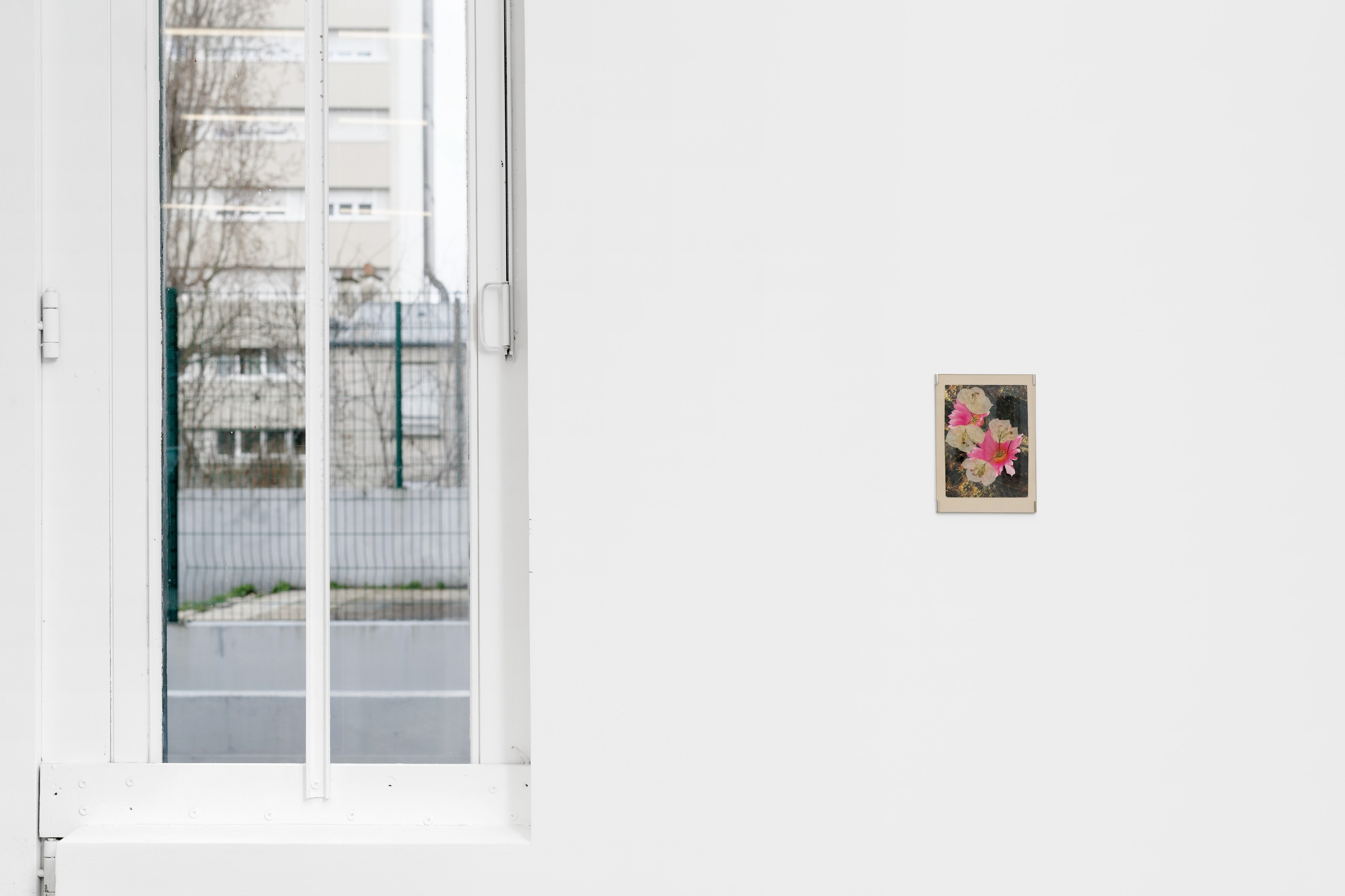 The Sentimental Organization of the World, The Sentimental Organization of the World at Tragic Venus, CELESTE | data center Marilyn, Champs-sur-Marne, photo 18