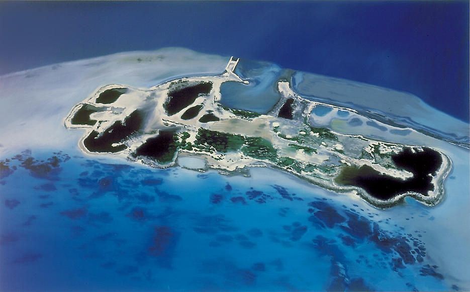 Dirk Skreber, Untitled at Petzel, photo 4
