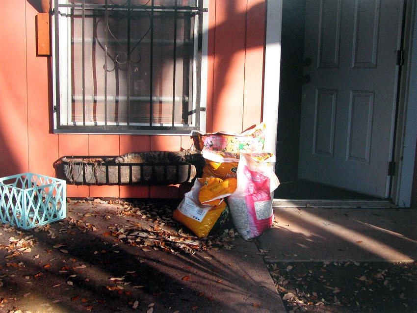 Troy Brauntuch, Untitled at Petzel, photo 7