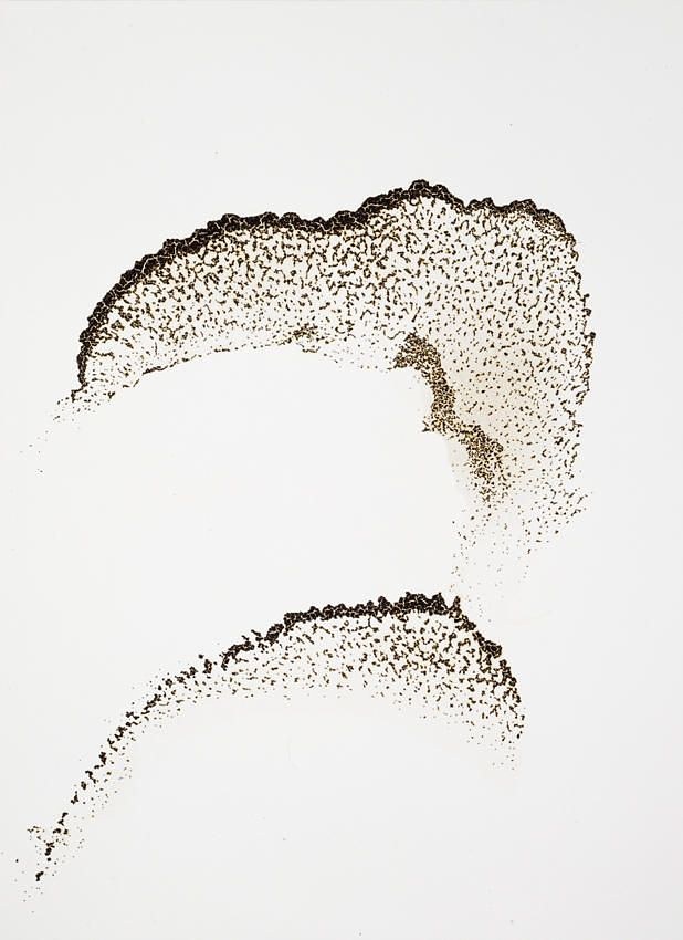 Georg Herold, Untitled at Petzel, photo 6