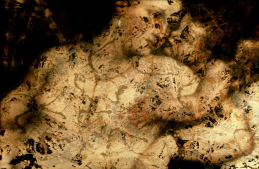 Andrea Fraser, Untitled at Petzel, photo 9