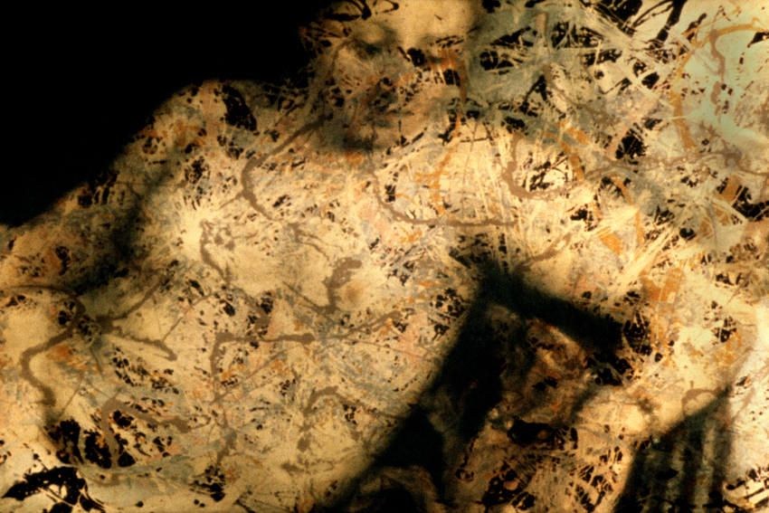 Andrea Fraser, Untitled at Petzel, photo 8
