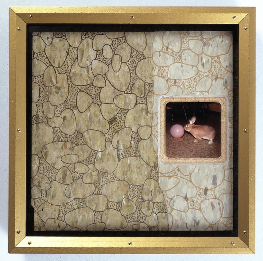 Keith Edmier, Untitled at Petzel, photo 12