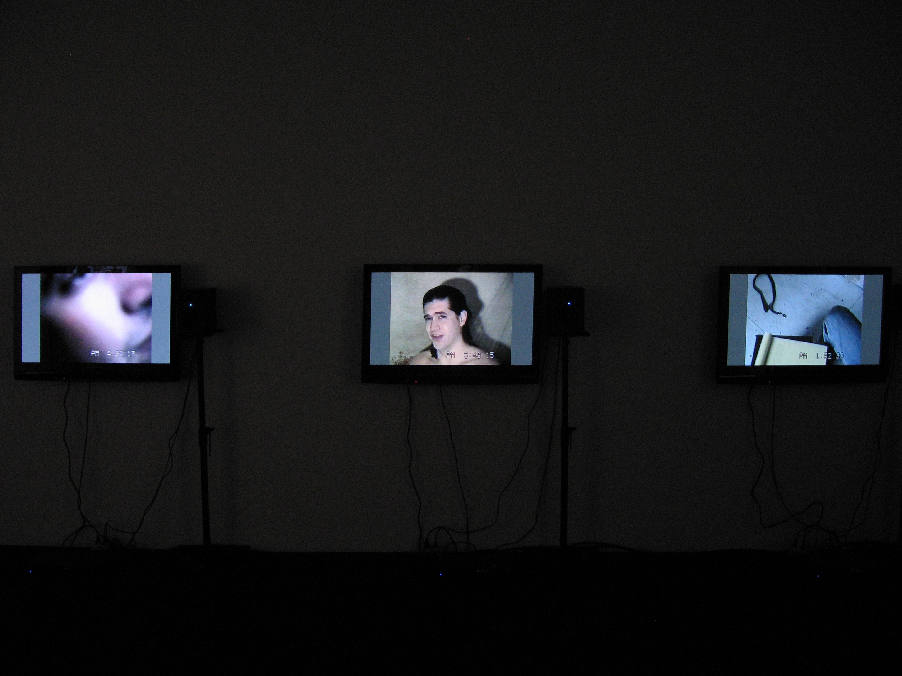 Sean Landers, Set of Twelve at Petzel, photo 2