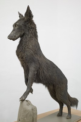 Image 7 of 29