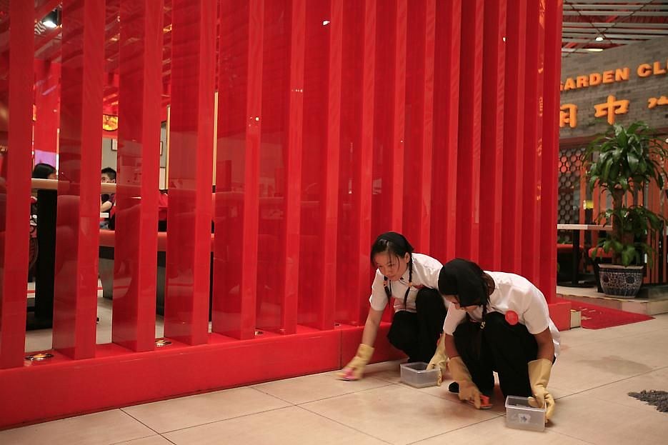 Sarah Morris, Beijing at Petzel, photo 7
