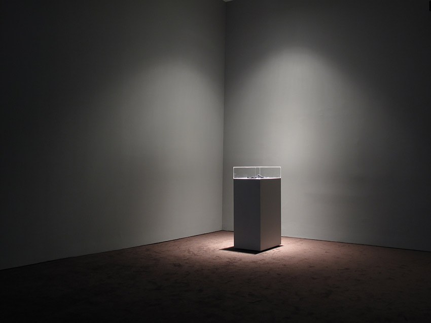 Christian Jankowski, Strip the Auctioneer at Petzel, photo 3