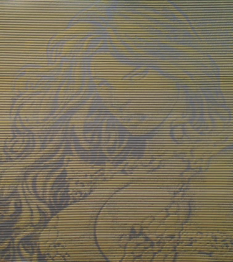 Dirk Skreber, Untitled at Petzel, photo 13