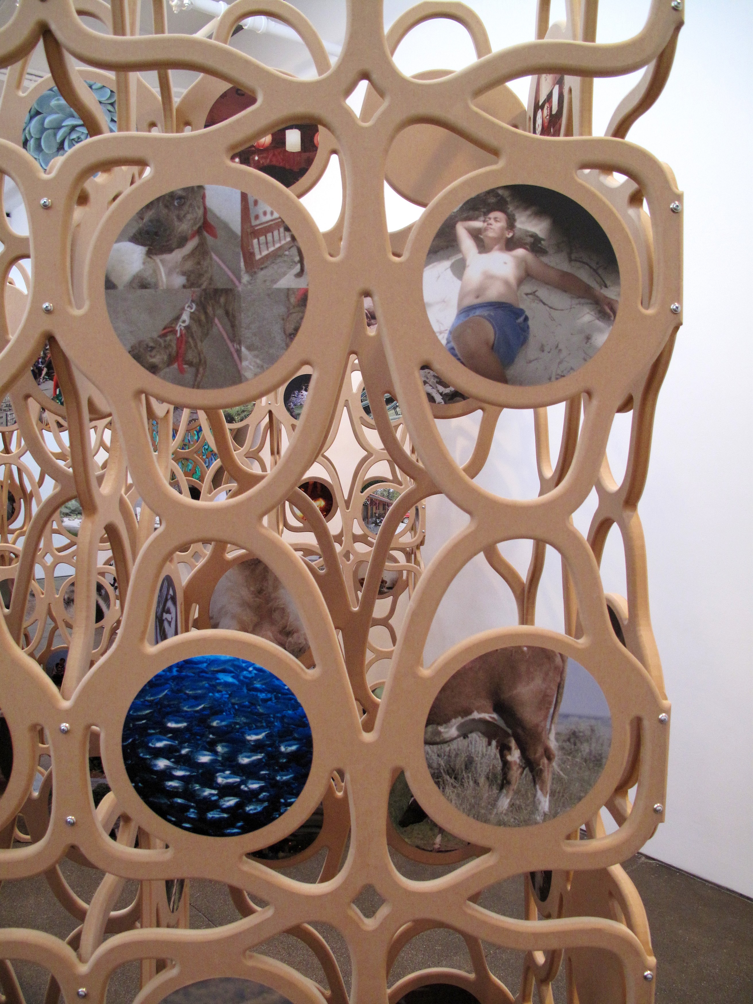 Jorge Pardo, Untitled at Petzel, photo 11