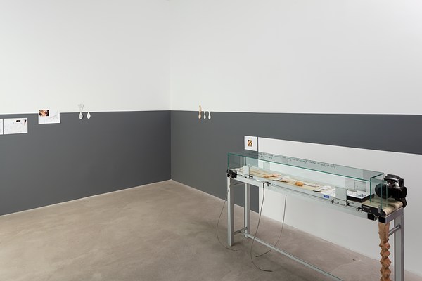 Image 2 of 50