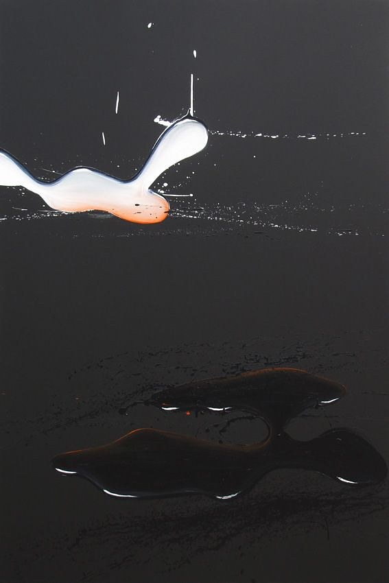 Dirk Skreber, Exhibition no. 2: Graham Walker at Petzel, photo 6