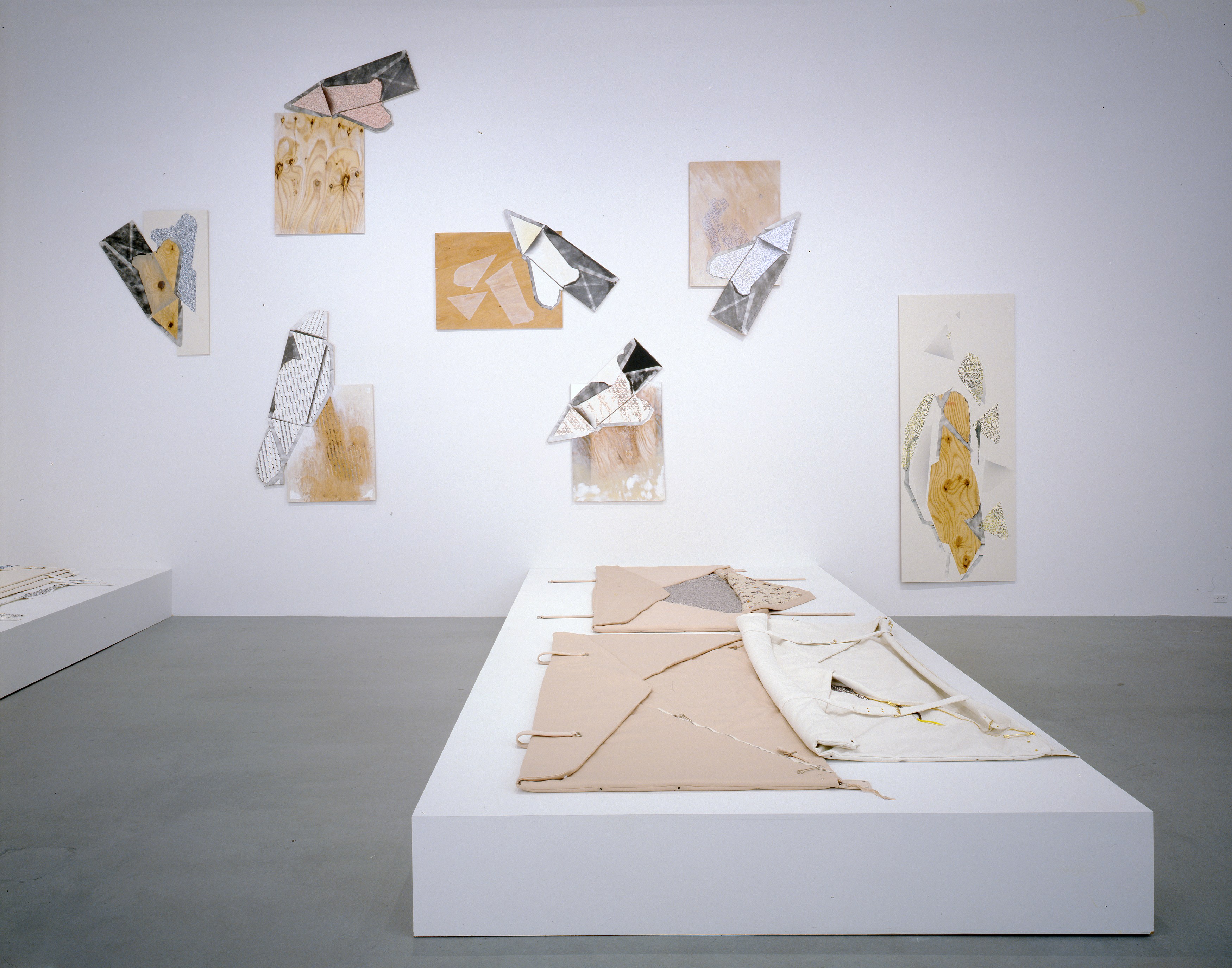 Seth Price, Folklore U.S. at Petzel, photo 13