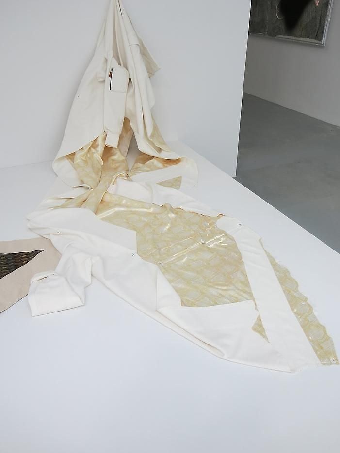 Seth Price, Folklore U.S. at Petzel, photo 48