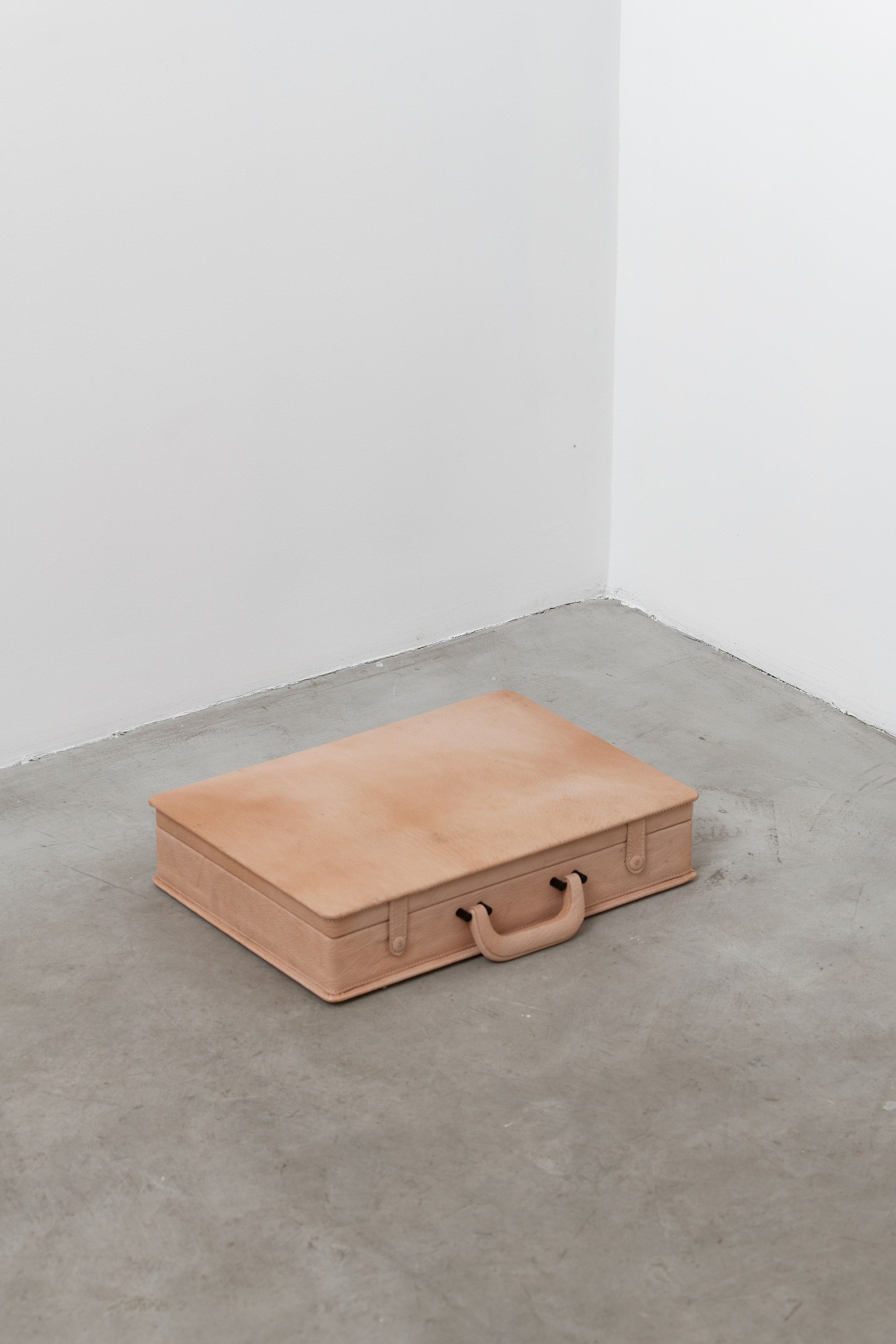 Alex Ayed, Roaring Forties at Galerie Balice Hertling, photo 9