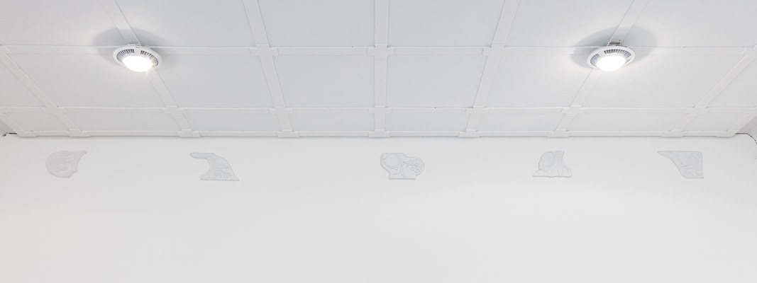 Image 9 of 17
