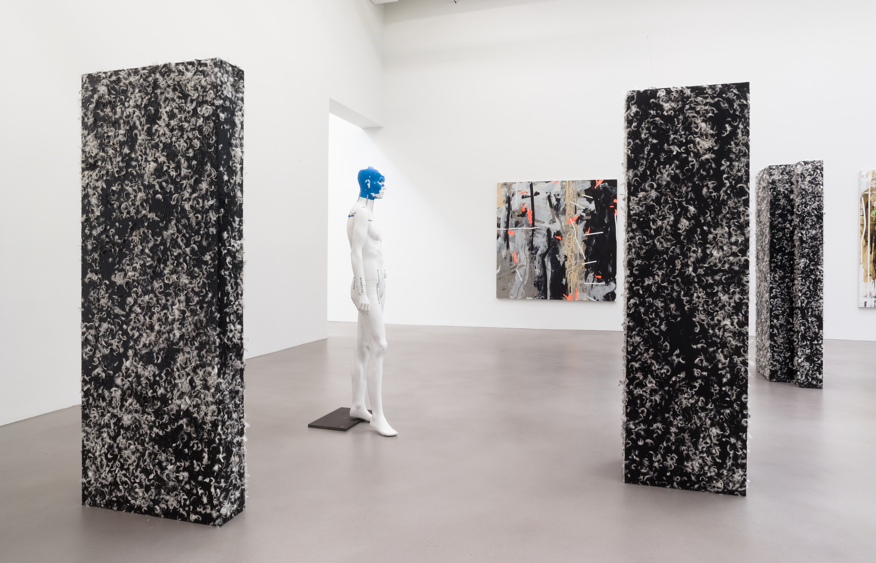 Heimo Zobernig, Untitled at Petzel, photo 12