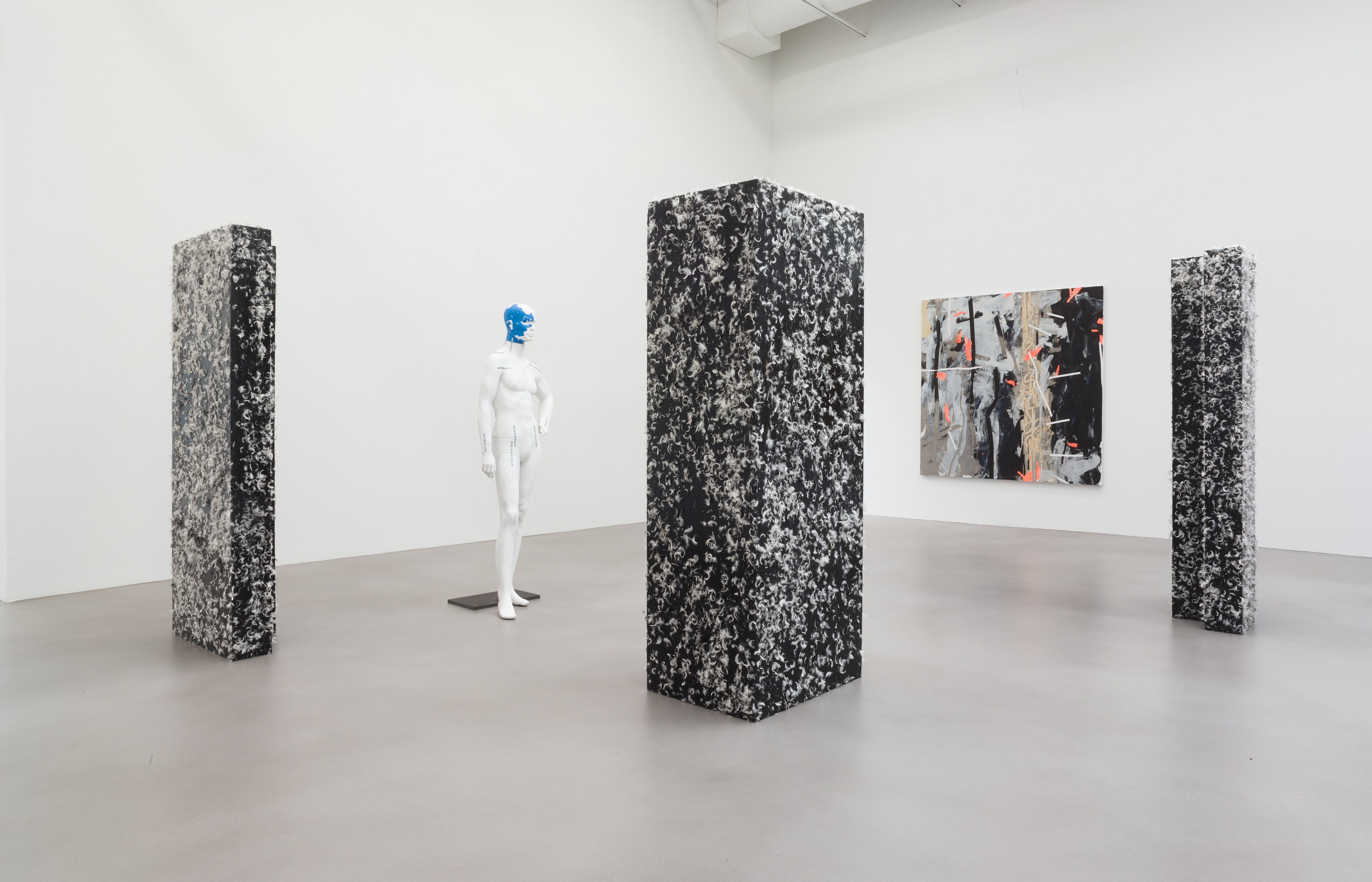 Heimo Zobernig, Untitled at Petzel, photo 14