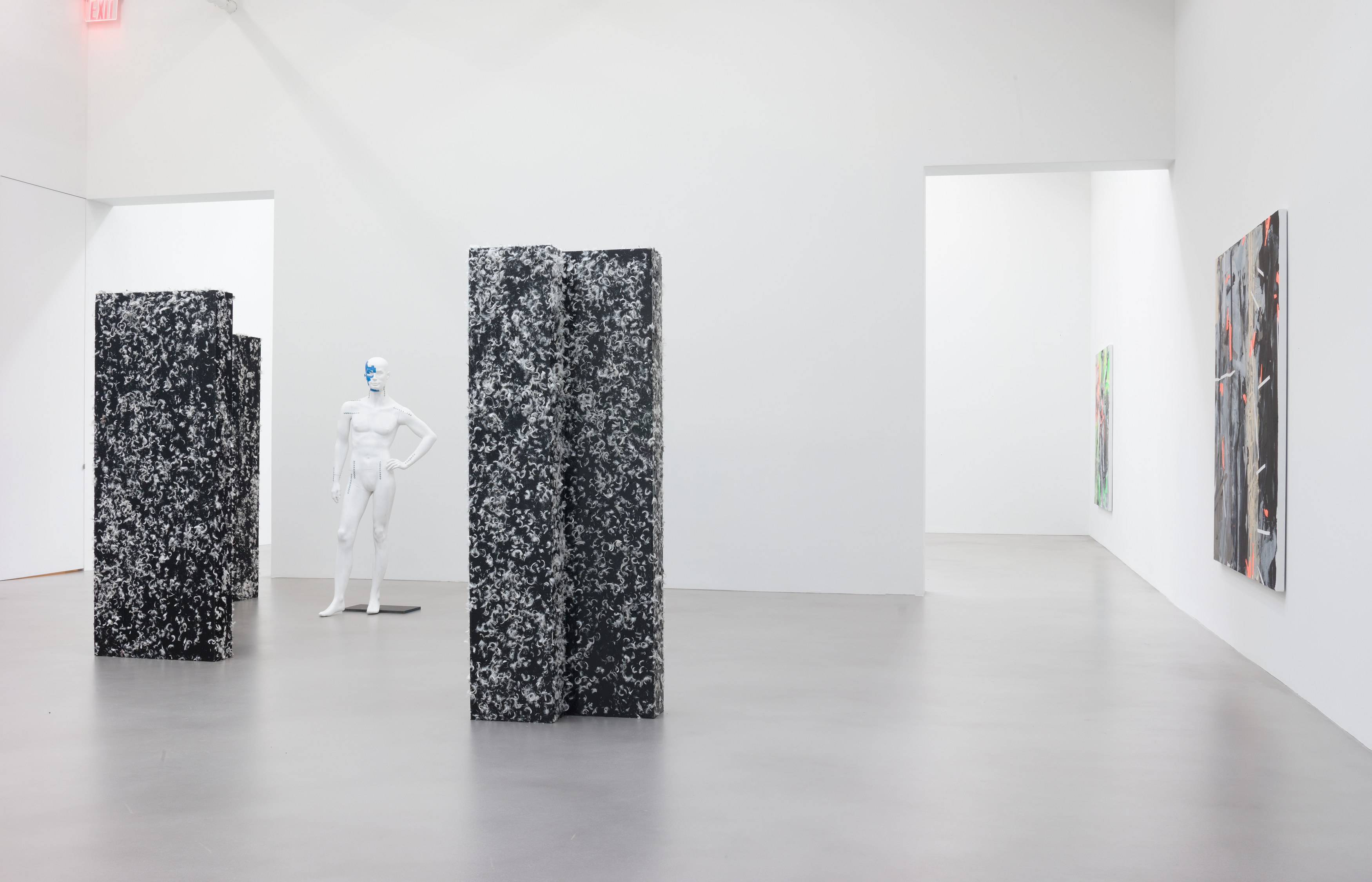 Heimo Zobernig, Untitled at Petzel, photo 18