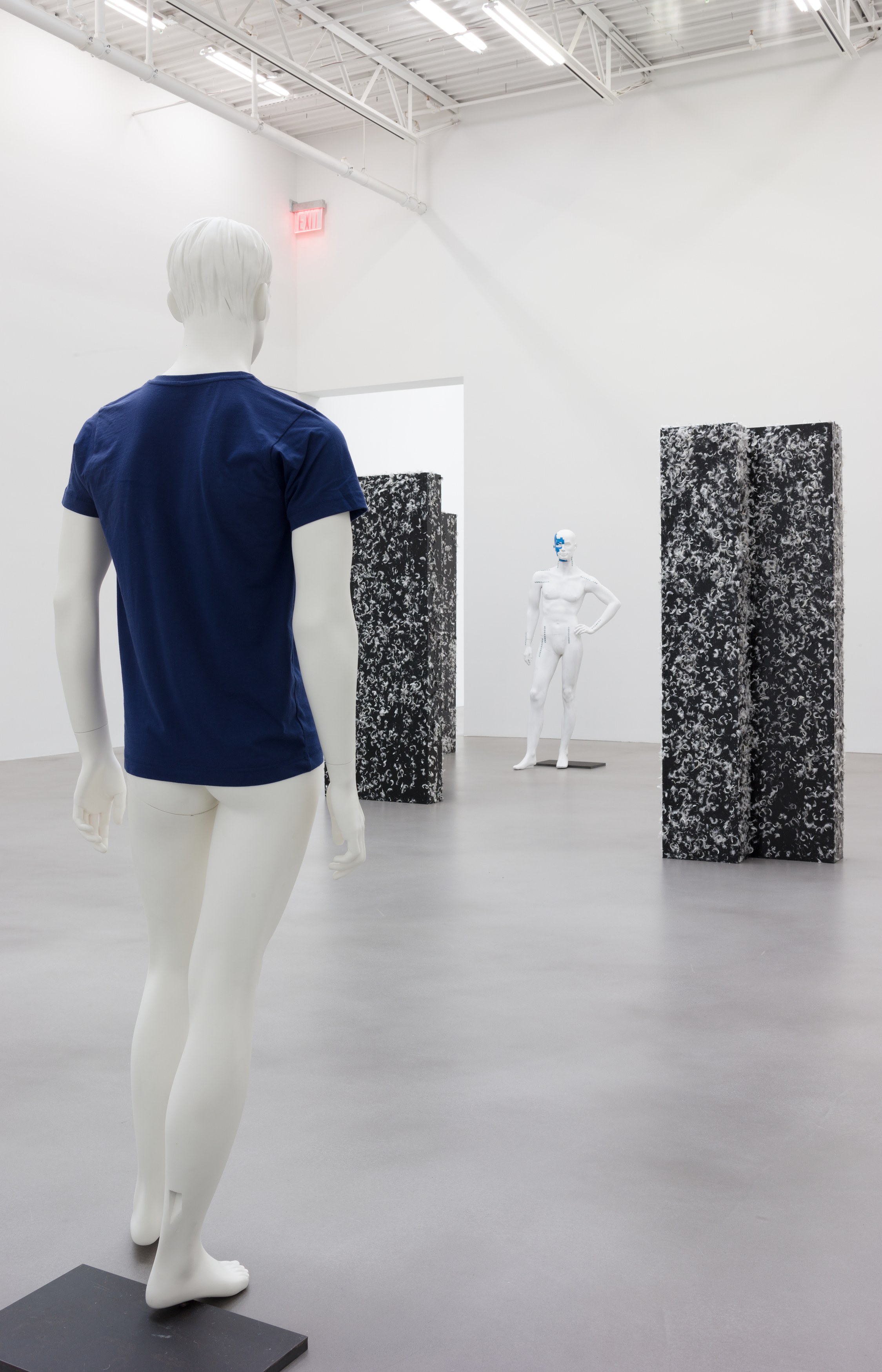 Heimo Zobernig, Untitled at Petzel, photo 19