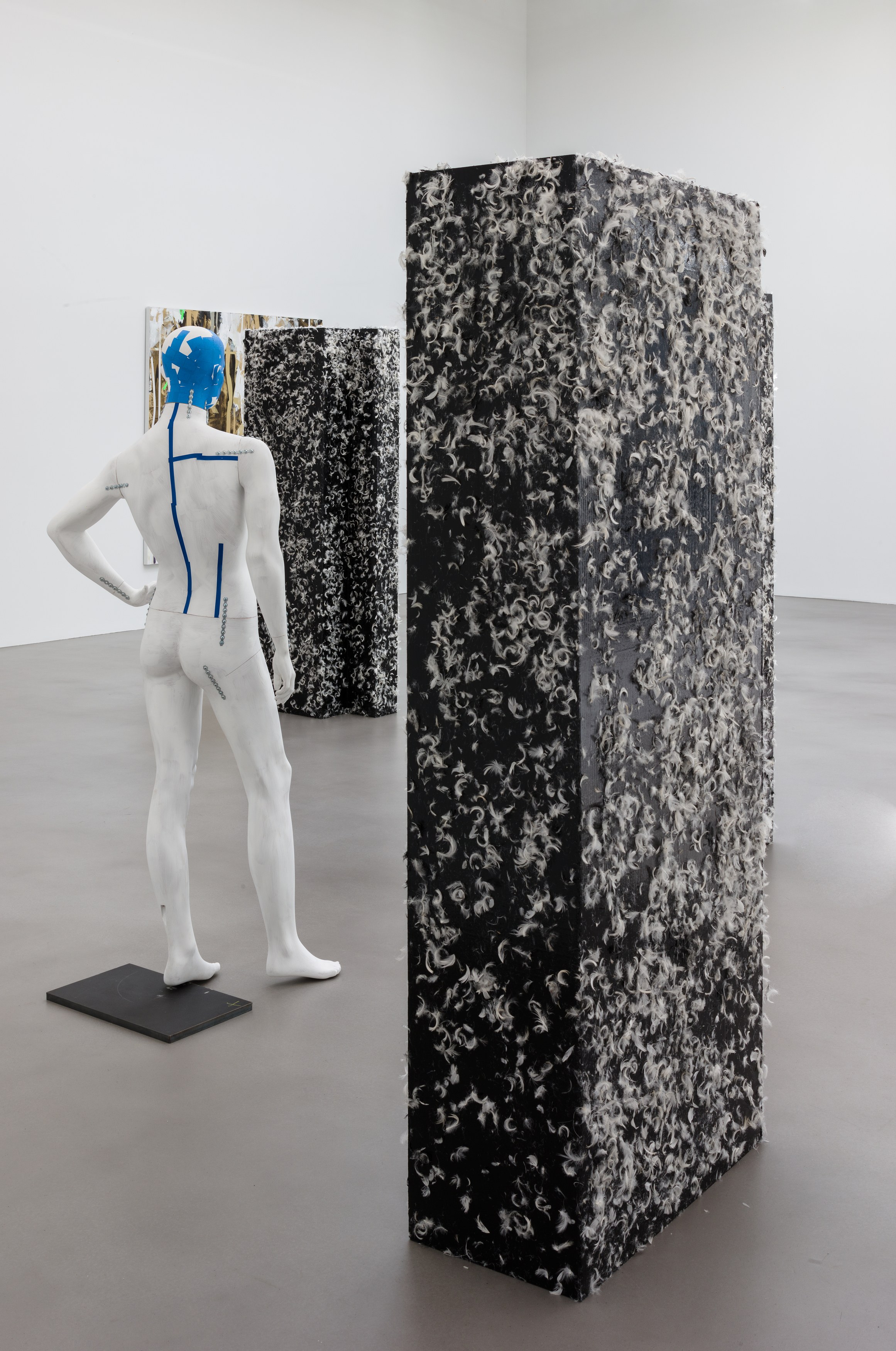 Heimo Zobernig, Untitled at Petzel, photo 35