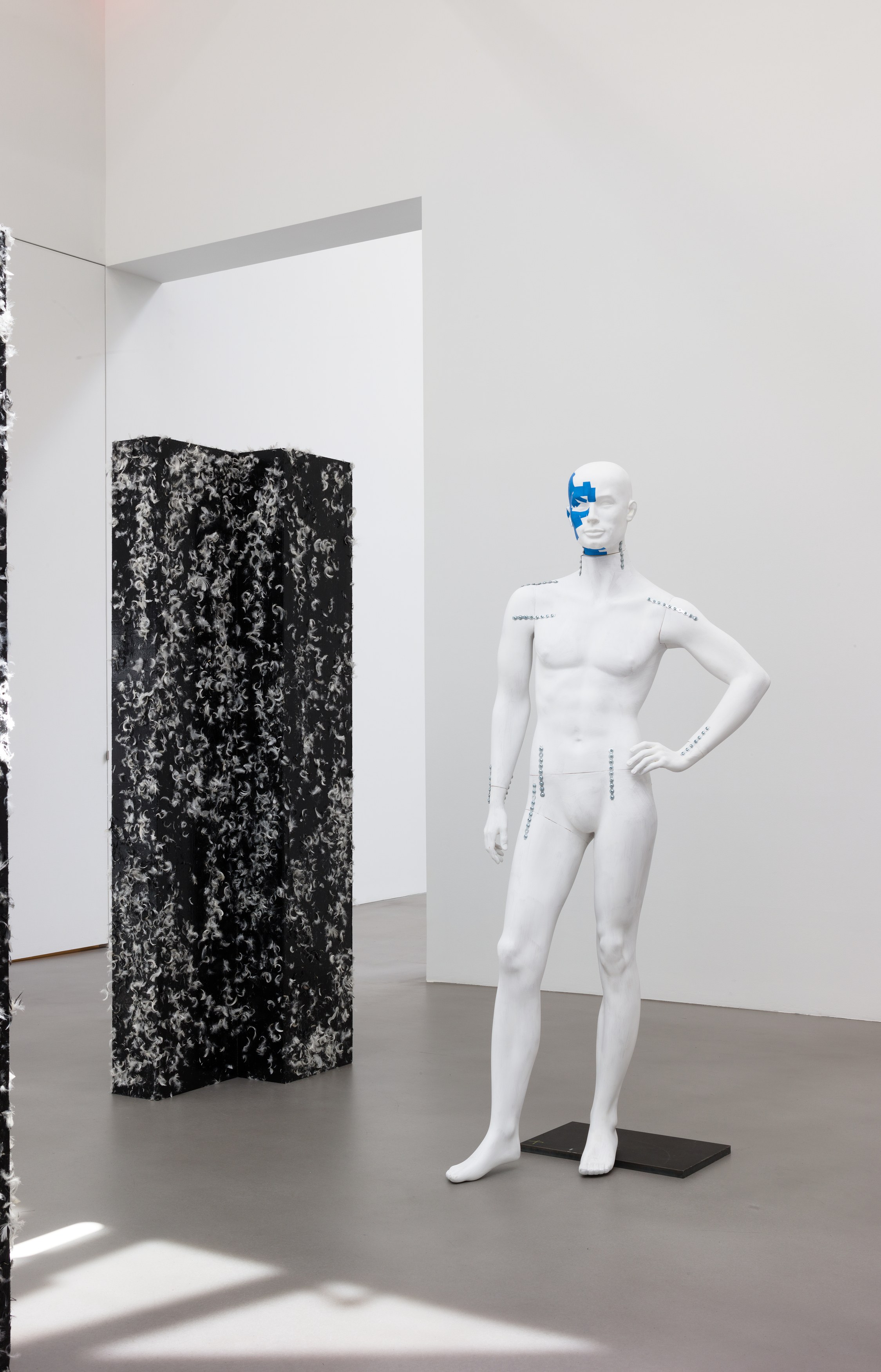 Heimo Zobernig, Untitled at Petzel, photo 36