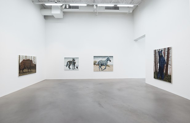 Image 4 of 45