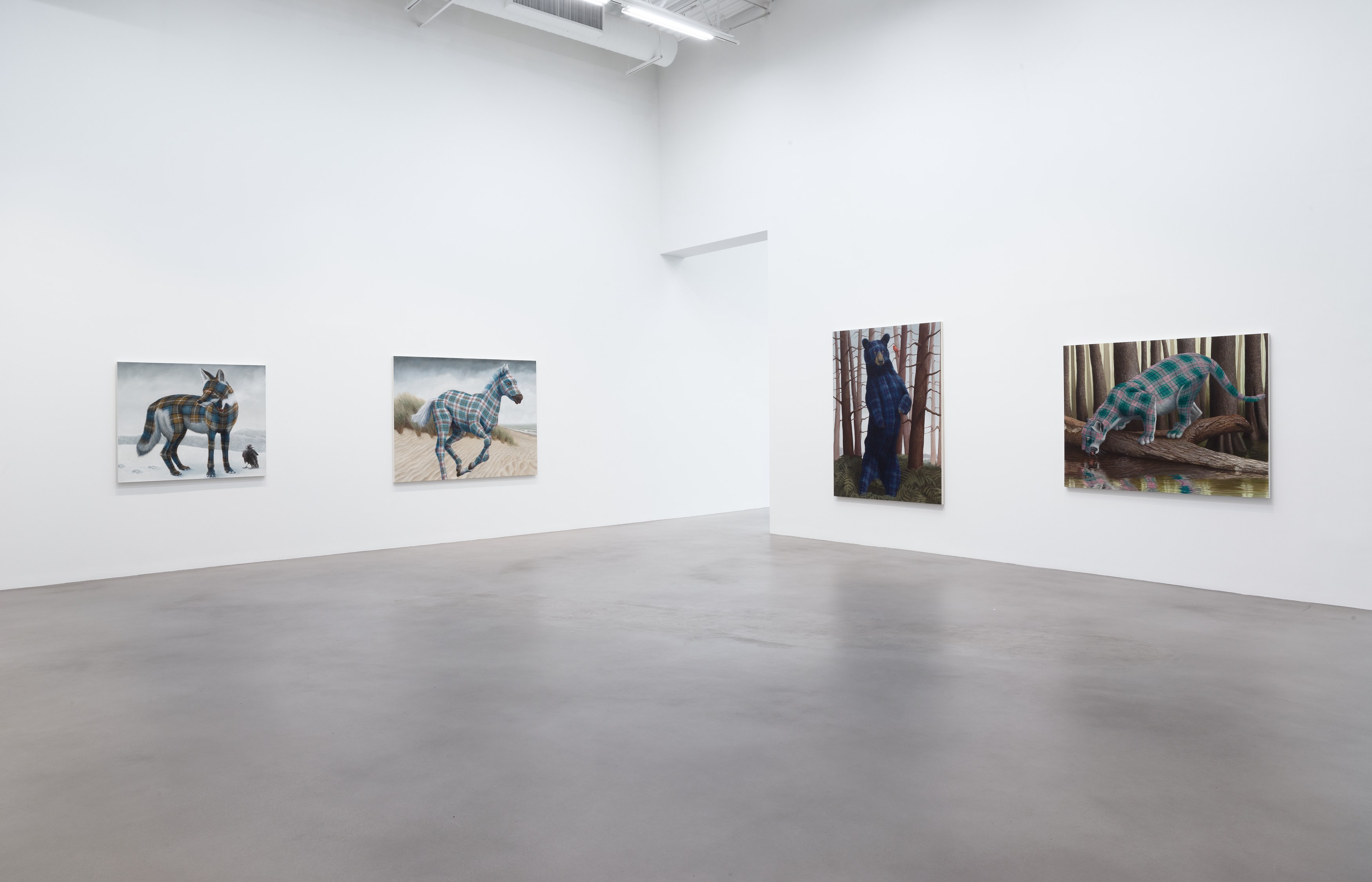 Sean Landers, North American Mammals at Petzel, photo 5