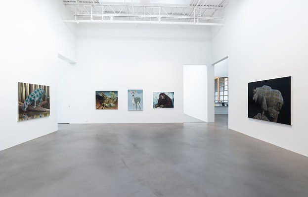Image 10 of 45
