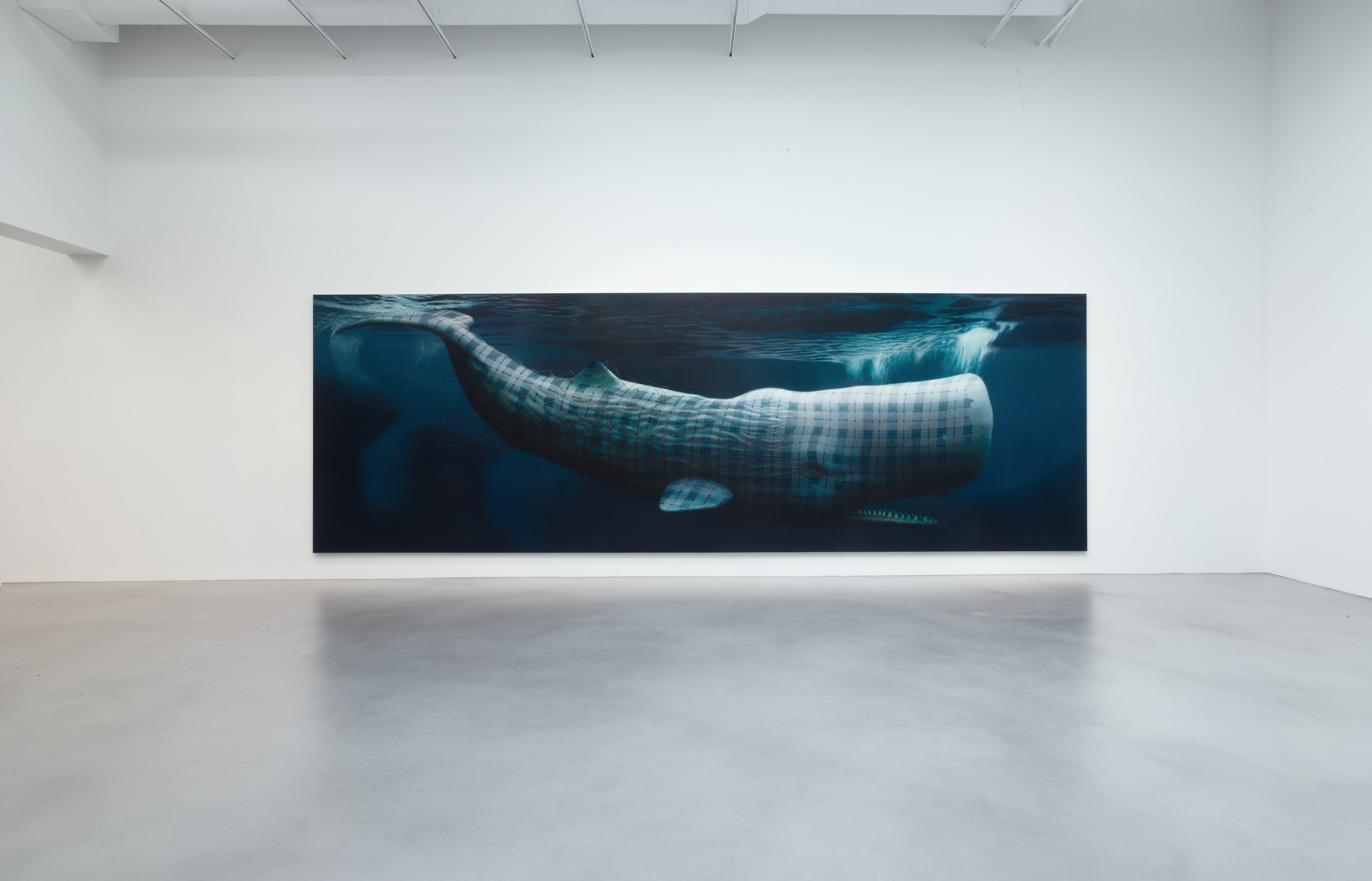 Sean Landers, North American Mammals at Petzel, photo 21