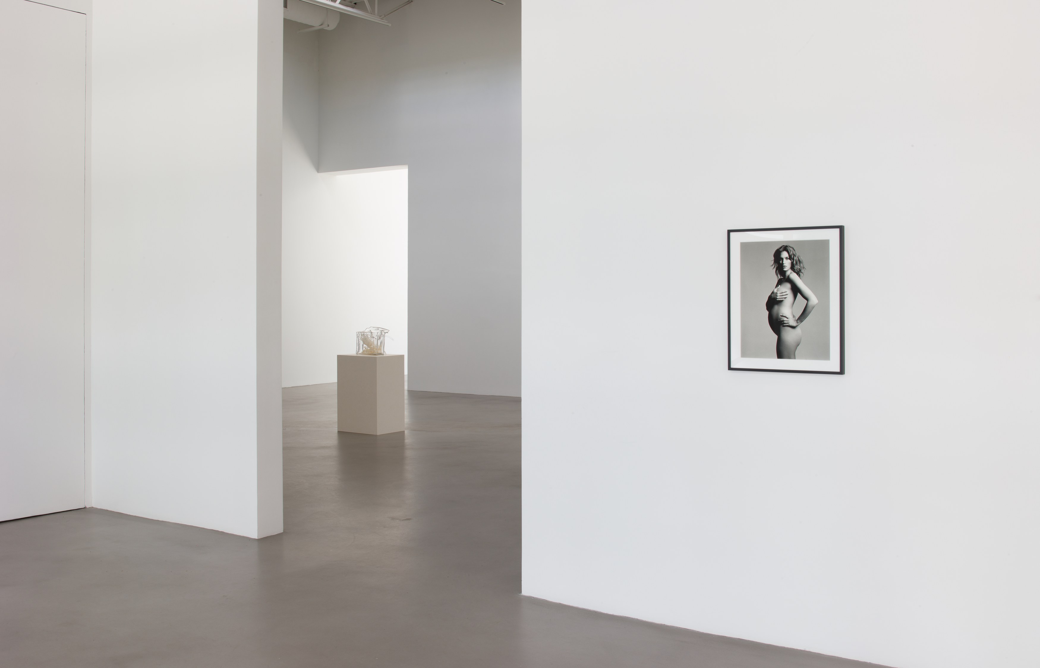 Keith Edmier, Regeneratrix at Petzel, photo 14