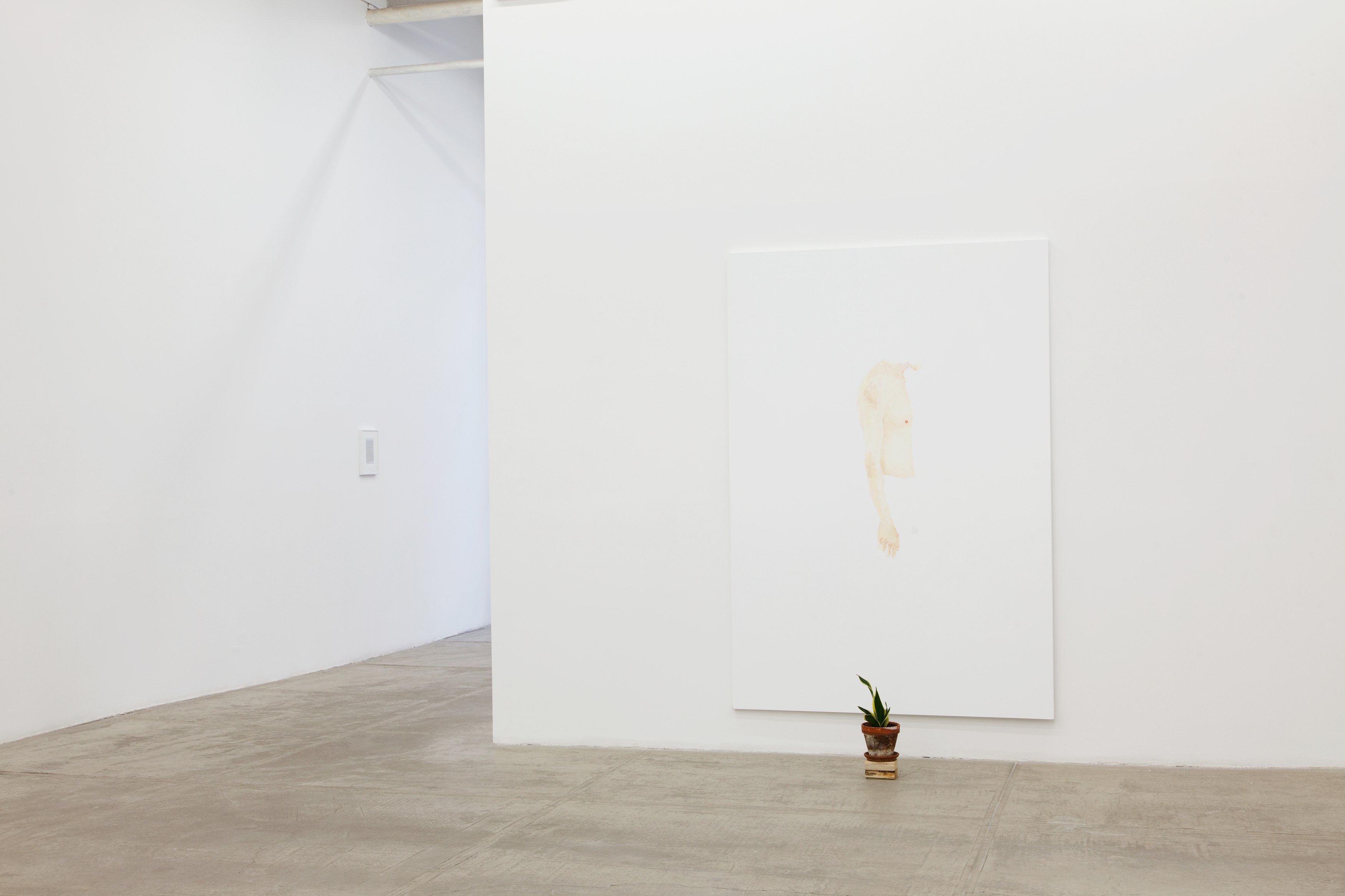 Richard Aldrich, Forget Your Dreams, All You Need is Love / A Day in the Life at Bortolami, photo 17