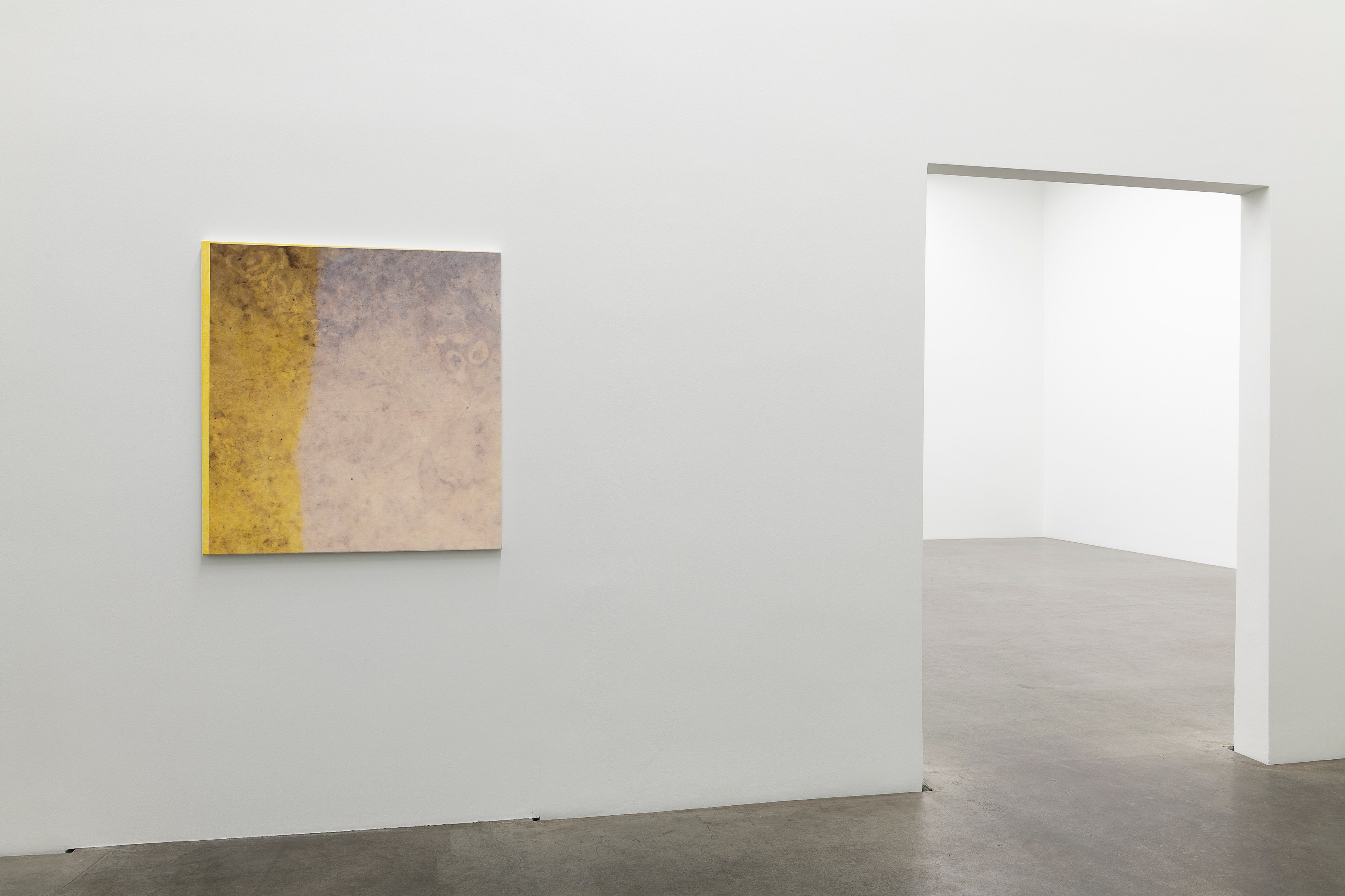 Sergej Jensen, Abstract Paintings at MD 72, photo 10