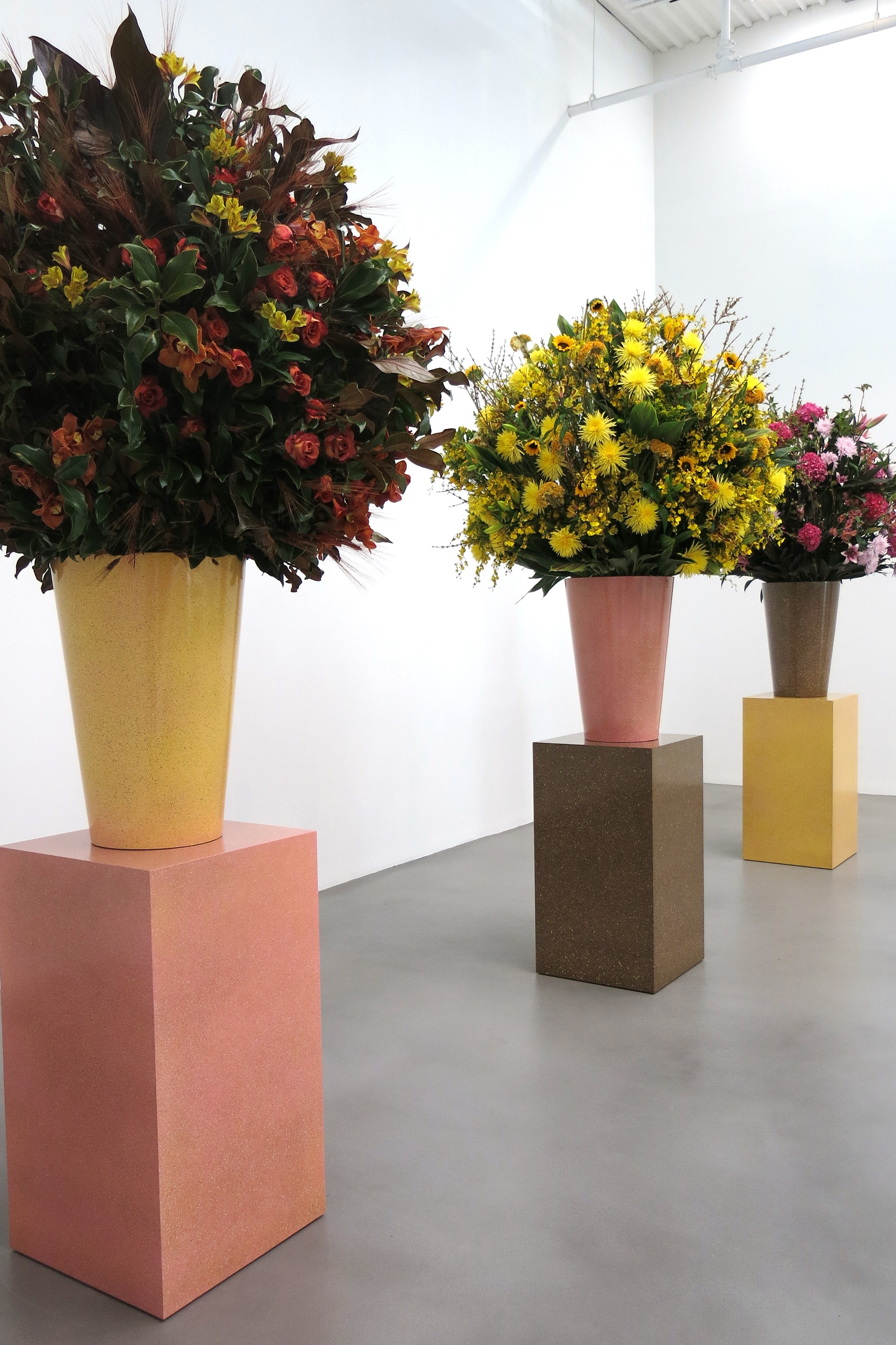 Willem de Rooij, Rye Wonk at Petzel, photo 14