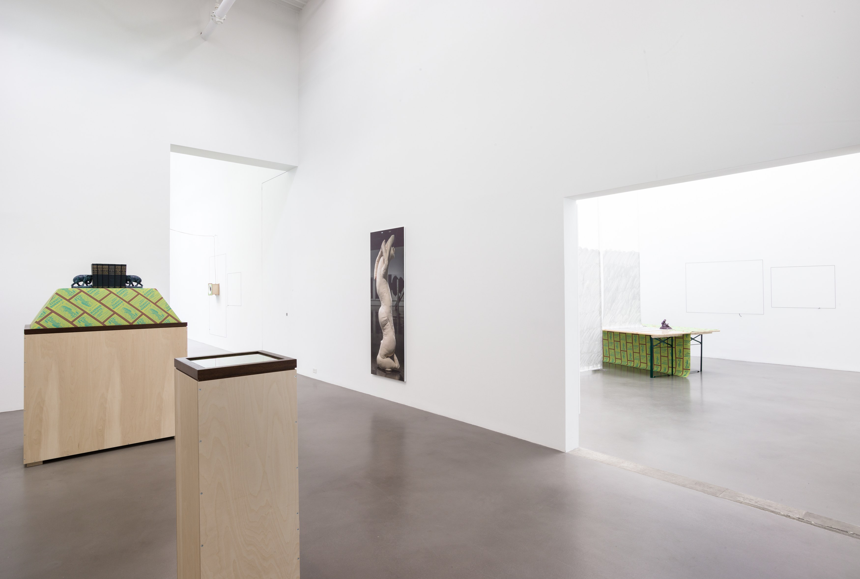 Stephen Prina, galesburg, illinois+ at Petzel, photo 6
