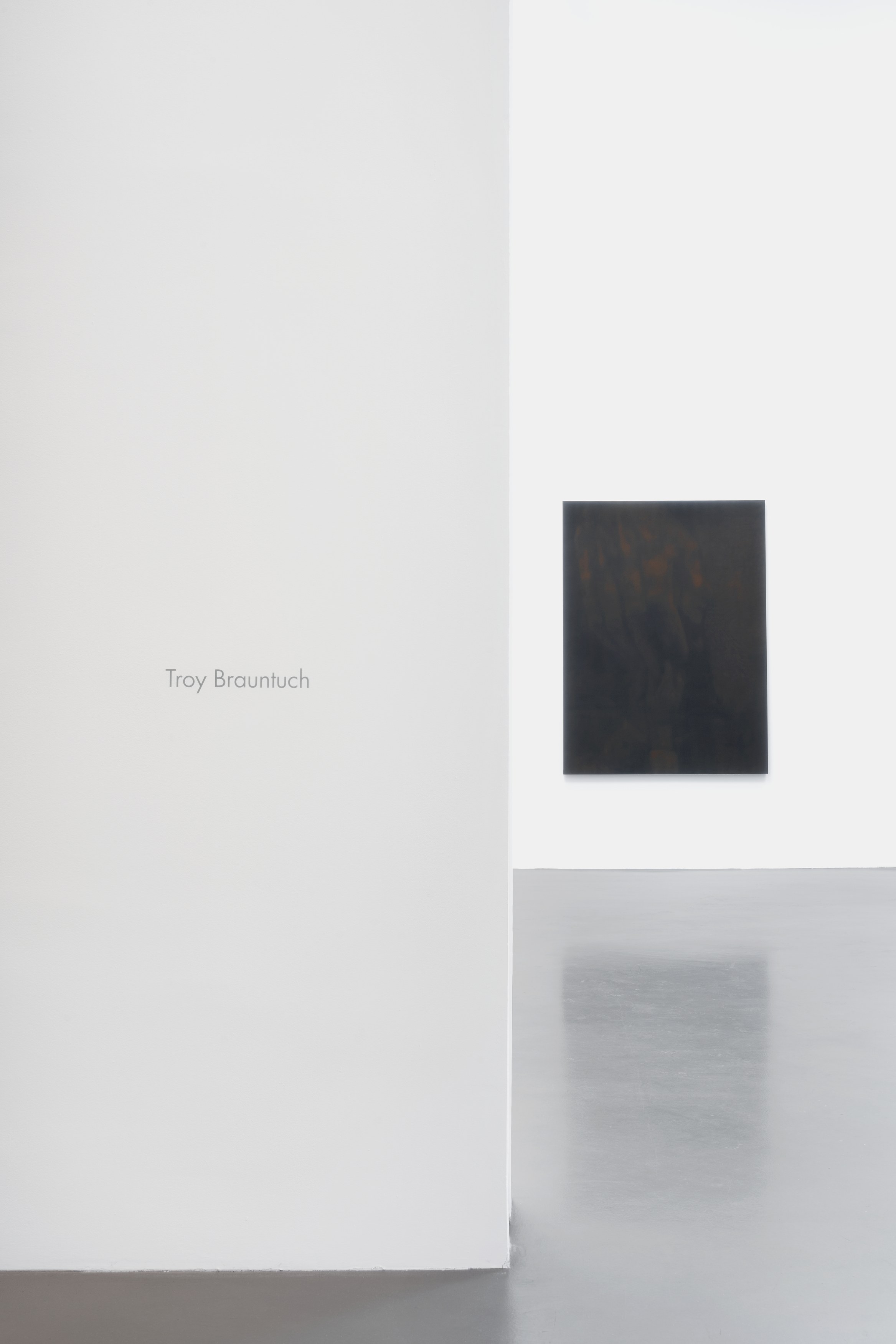Troy Brauntuch, Untitled at Petzel, photo 16